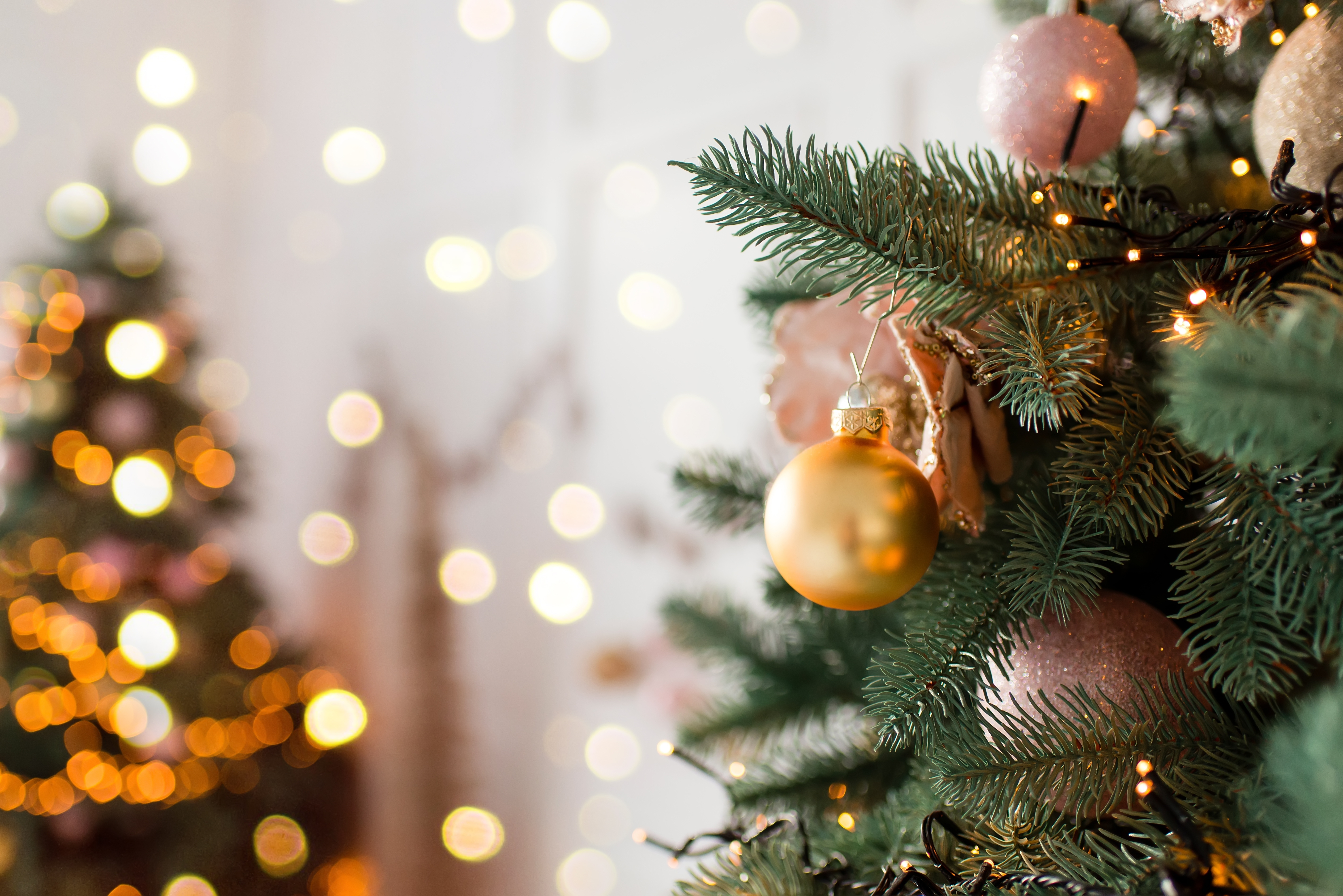 CHRISTMAS GIFTING 2025