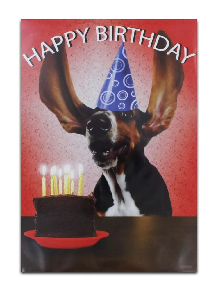 CARDS OPEN MALE (NO.12) BIRTHDAY