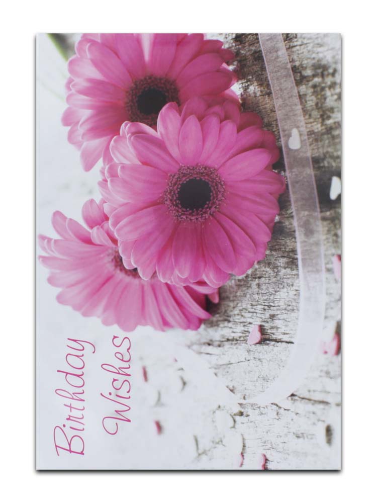 CARDS OPEN FEMALE  (NO.23) BIRTHDAY