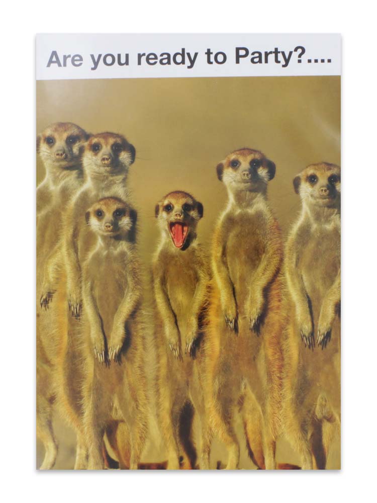 CARDS HUMOUR (NO.4) BIRTHDAY