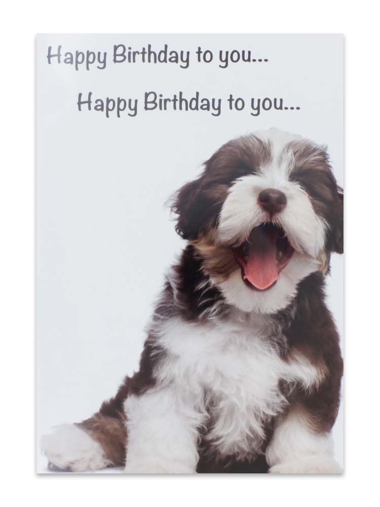 CARDS HUMOUR (NO.5) BIRTHDAY