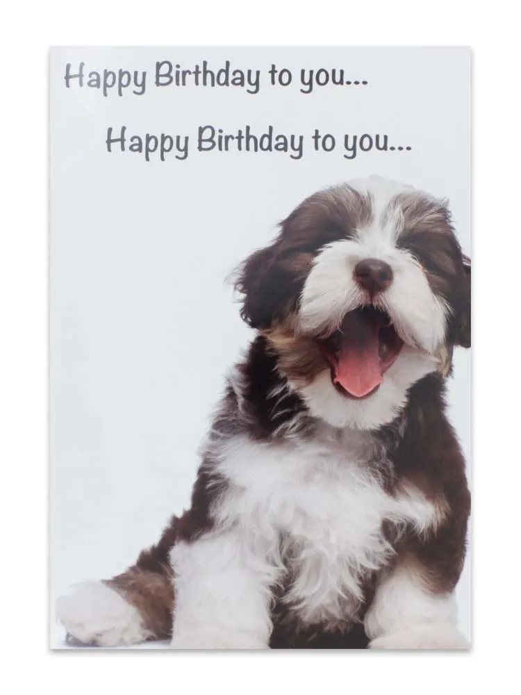 CARDS HUMOUR (NO.5) BIRTHDAY