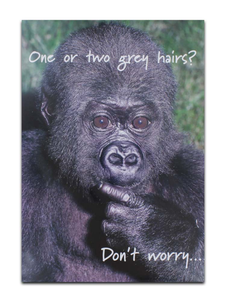 CARDS HUMOUR (NO.6) BIRTHDAY