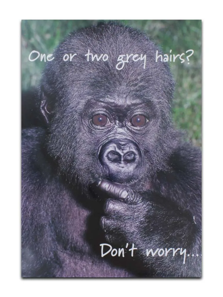 CARDS HUMOUR (NO.6) BIRTHDAY