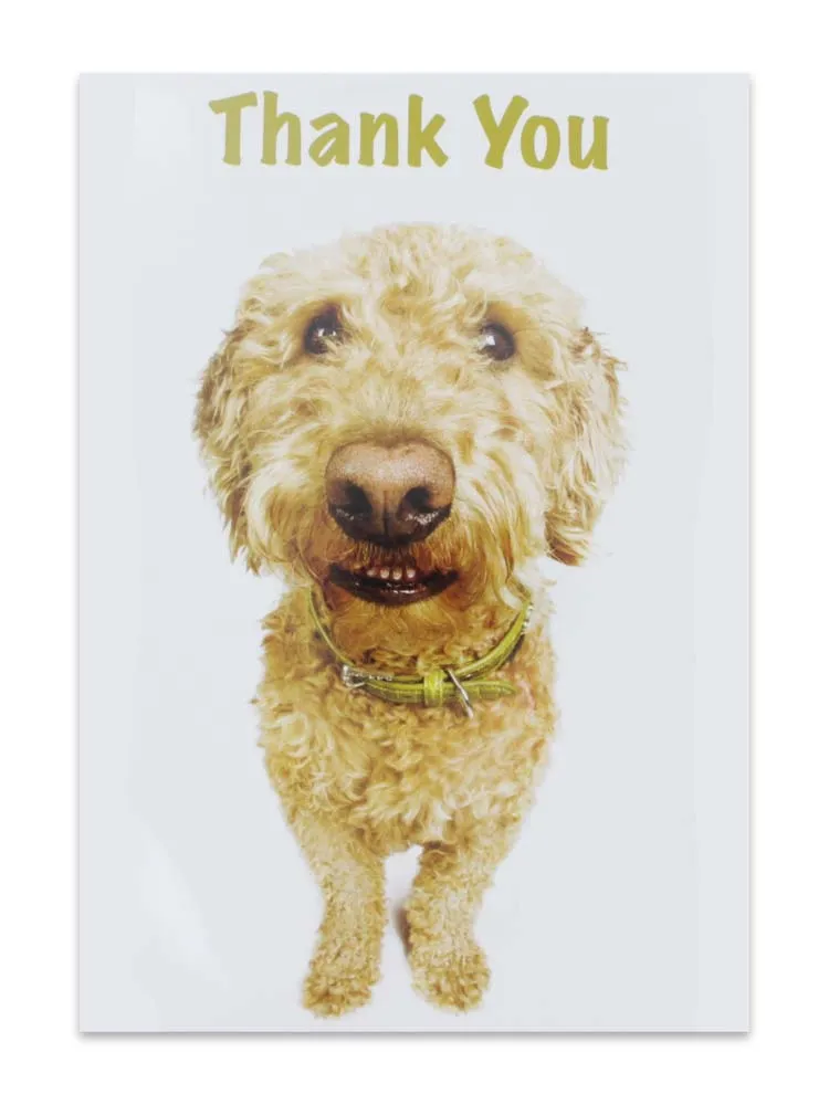 CARDS THANK YOU (NO.76)