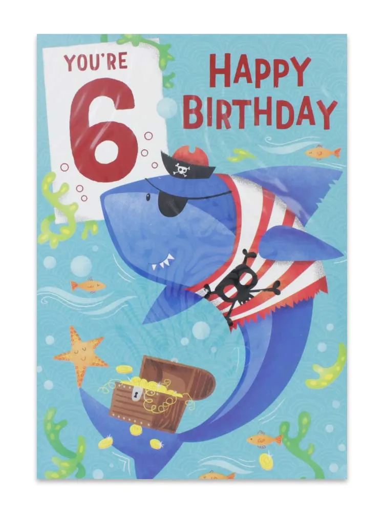 BOY AGE 6 BIRTHDAY CARD