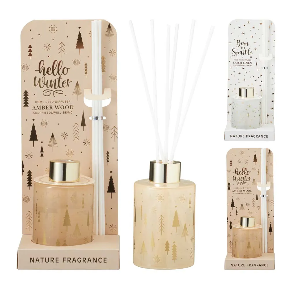 ACC702310 DIFFUSER 100ML 6X9CM 2ASS