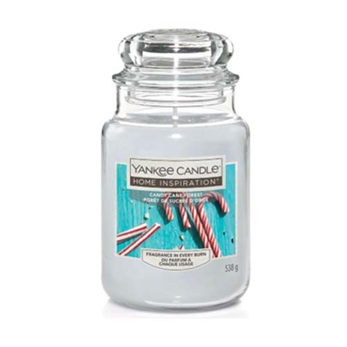 YANKEE CANDY CANE FOREST 538g x 4